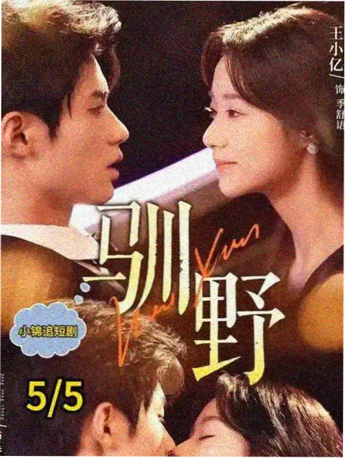韩国理论电影国际影展
